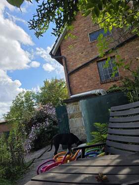 Gartensicht - Mehrfamilienhaus, Wohnhaus mit 223,20 m&sup2; in Auetal zum Kaufen