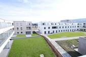 _MG_2459 - 