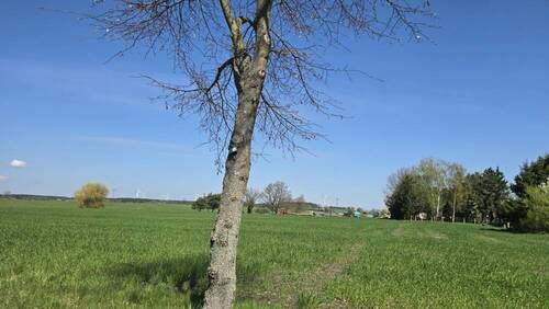 Umgebung - 