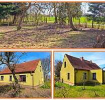 Renovieren. Gestalten. Einziehen. Ihr Haus mit Potenzial! - Ummanz Varbelvitz