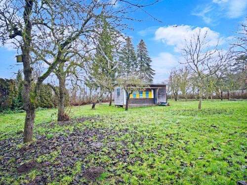 Grundstücksansicht - Grundstück in Poseritz