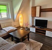 Möblierte 2-Raumwohnung ab sofort zu vermieten! - Wilkau-Haßlau
