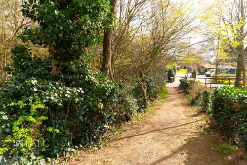 Seitenansicht vom Weg - 