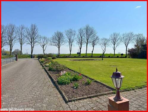 Frühlingsimpressionen - 