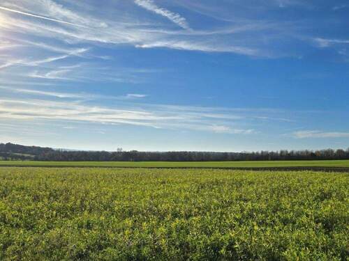 Musterfoto - Trier-Biewer - Grundstück mit enorm viel Potenzial ! Machen Sie Ihr Geschäft !!!
