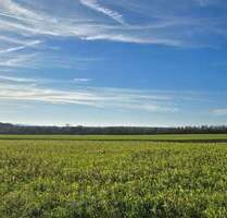 Trier-Biewer - Grundstück mit enorm viel Potenzial ! Machen Sie Ihr Geschäft !!! - Trier / Biewer Trier-Nord