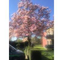 Altersgerechtes Wohnen im Herzen von Kaarst