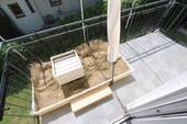 Balkon.jpeg - 