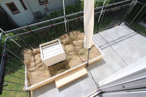 Balkon.jpeg - 