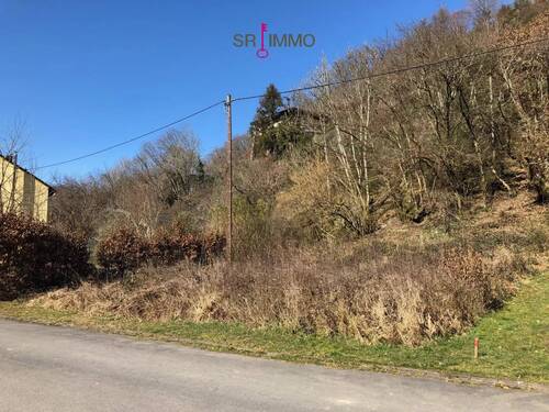 Bild 1 - Sonniges Baugrundstück an der Our