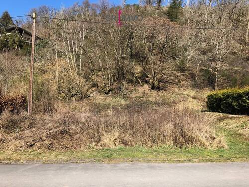 Bild 2 - Grundstück zum Kaufen in Keppeshausen