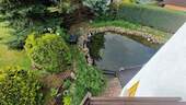 Garten - Teich - 