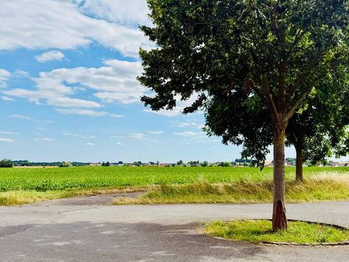 Ausblick - 