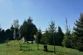 Gemeinschaftsgarten - 