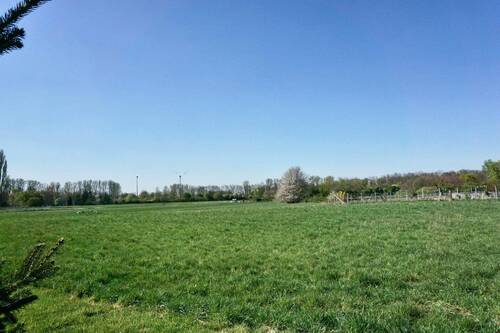 Ausblick aufs Feld - 