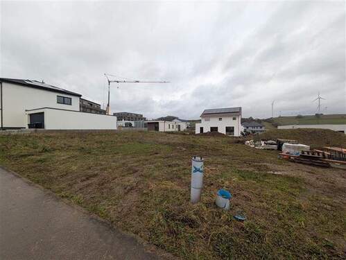 Ansicht 1 - Grundstück in Welschbillig zum Kaufen