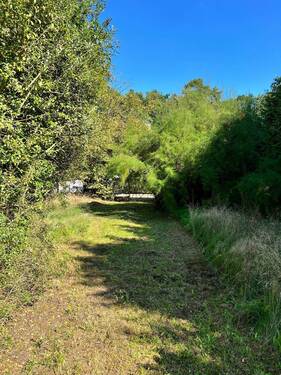 Baugründstück - Grundstück zum Kaufen in Schönefeld