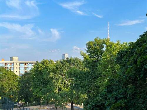 Ausblick WE 4 - Rooms with a view: sanierte Altbauwohnung in erster Reihe am Weinbergspark - VERMIETET