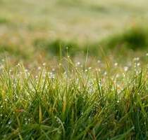 AIGNER - Attraktives Grundstück in gefragter Lage für DHH EFH - München Sendling-Westpark