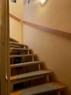 Aufgang in´s 1. OG.jpg - 4 Zimmer Einfamilienhaus zum Kaufen in Schkopau