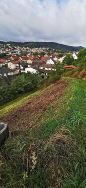 IMG_20230812_110307 - Grundstück in Wallhausen