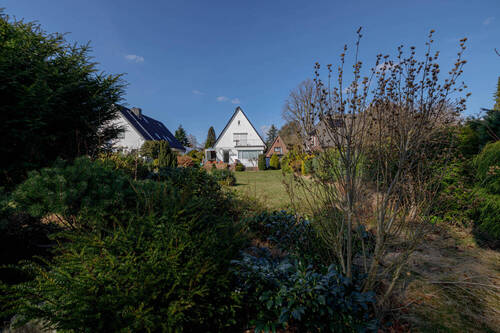 hinterer Gartenbereich - 