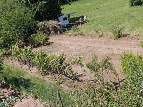 Garten - 