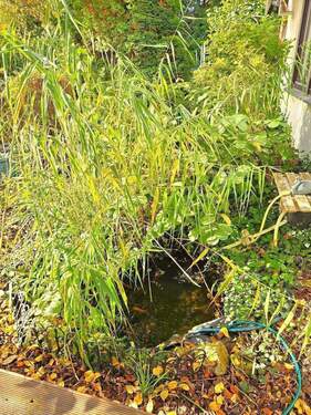 21) kleiner Teich (mit Fische) - 