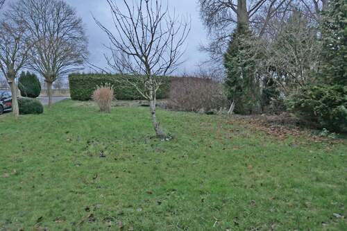 Garten vor dem Haus - 