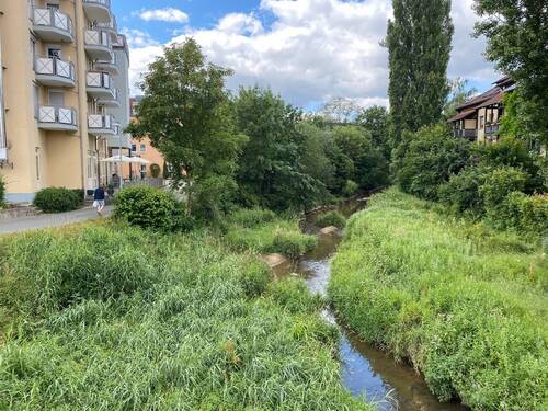 Direkte Lage am Mistelbach - 