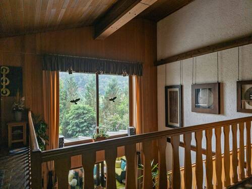 Blick vom Essbereich - 