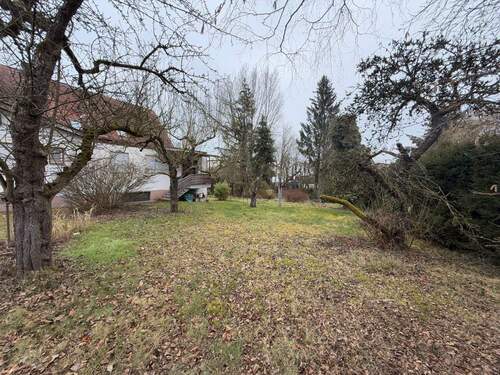 img-1338.jpg - 1 Zimmer Einfamilienhaus in Dillingen an der Donau