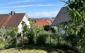 Blick - 