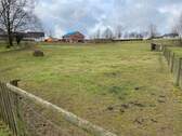 Mittel (13).jpeg - 