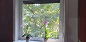 Blick aus Schlafzimmer - 