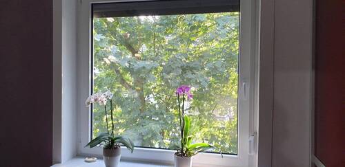 Blick aus Schlafzimmer - 