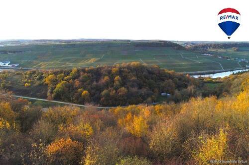 RE/MAX Immobilien DeLux Grundstück Wincheringen - 