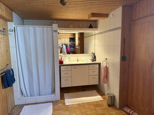 Duschbad mit Sauna - 