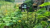Garten - 
