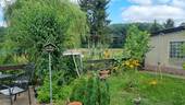 Waldblick - 