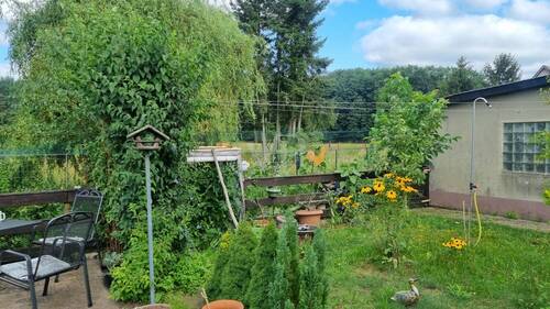 Waldblick - 