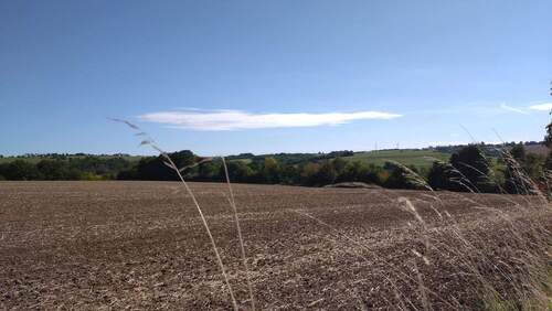 das gehört alles dazu - 