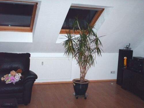 alle Fotos aus altem Bestand - 