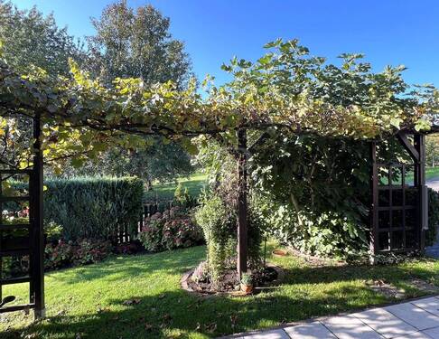 Aussicht von der Terrasse - 