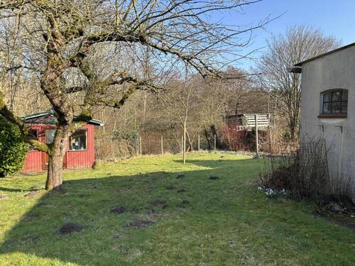 Blick auf das hintere Grundstück - 