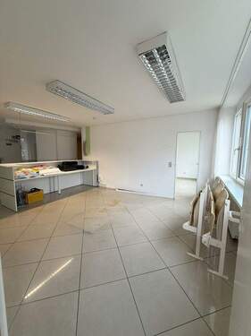 Empfang / Rezeption - 