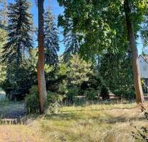 Selber Bauen in Waldsteinberg! - 269.000,00&nbsp;EUR Kaufpreis, ca.&nbsp; 0,00&nbsp;m&sup2; in Brandis (PLZ: 04821) Waldsteinberg