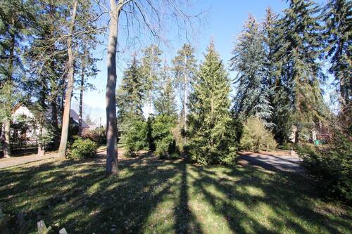 Grundstück - Grundstück zum Kaufen in Brandis