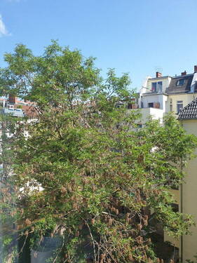 der Blick in den ruhigen Hof - 