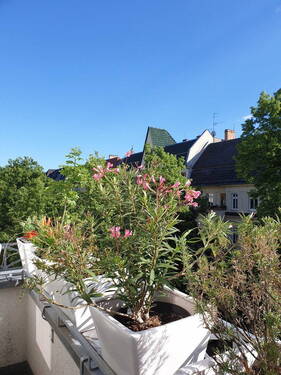 Blick vom Balkon in die Straße - 